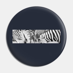 Zebra herd oblong black and white stripe full frame. Pin