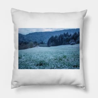 Meadow with first snow Pillow