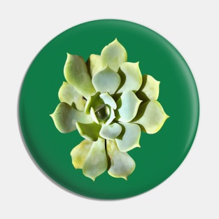 Succulent Echeveria Garden Plant Cut Out Pin