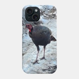 Curious Turkey Phone Case