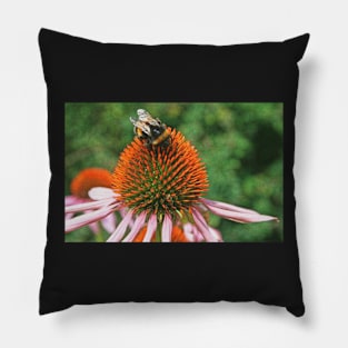 Coneflower & Bee Pillow