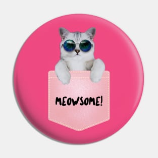 Meowsome Pocket Kitty Pin