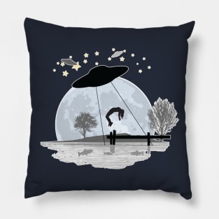 The Lake Pillow