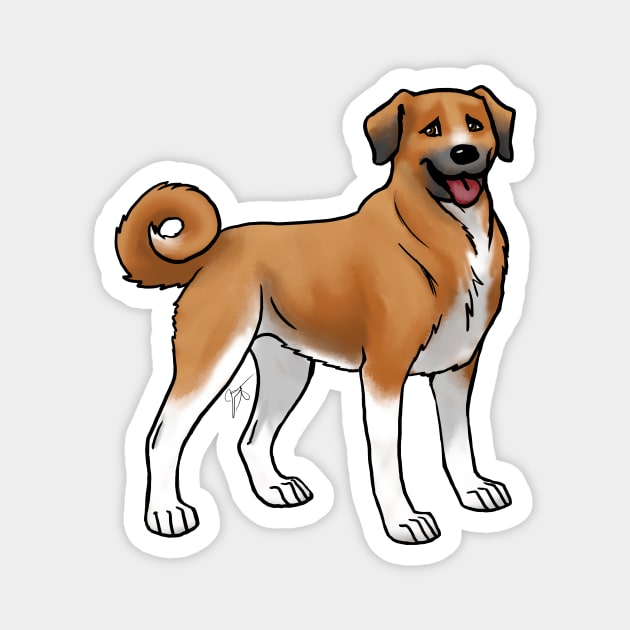 Dog - Anatolian Shepherd - Red and White Magnet by Jen's Dogs Custom Gifts and Designs