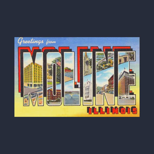 Greetings from Moline, Illinois - Vintage Large Letter Postcard by Naves