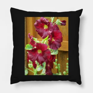 Dark red hollyhocks Pillow