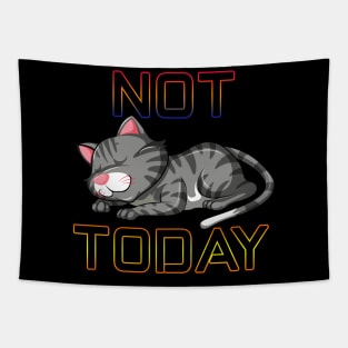 not today cute sleeping cat Tapestry