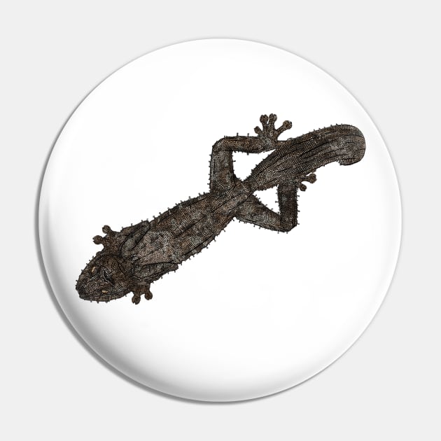 Uroplatus Fimbriatus Pin by GothamGeckos