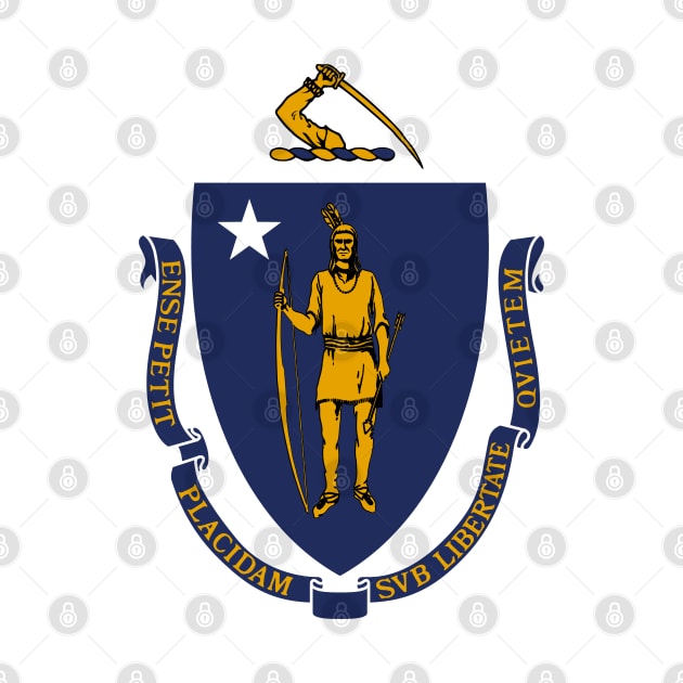 The Commonwealth of Massachusetts Flag by SolarCross