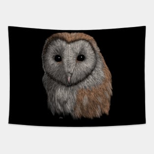 Barn Owl Tapestry