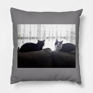 Cats on a couch Pillow