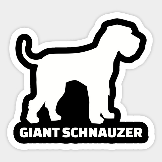 Giant Schnauzer Puppy Growth Chart