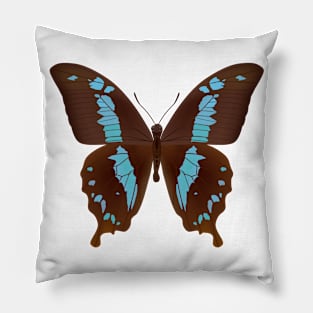 beautiful butterfly Pillow