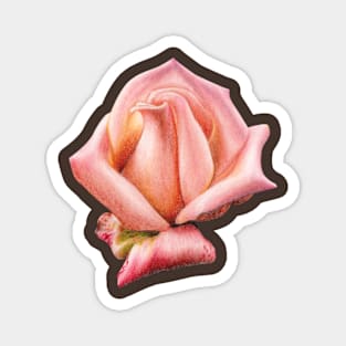 Rose Magnet