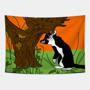 Cute Tuxedo Cat playing in the garden  Copyright TeAnne Tapestry