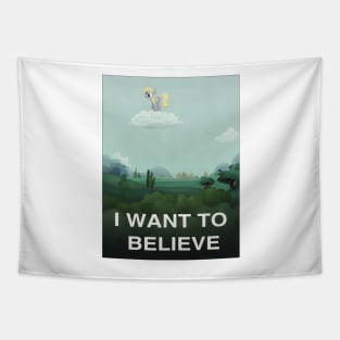 I want to believe Tapestry