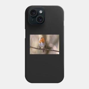 Robin gaze Phone Case