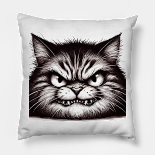 Chat mécontent Pillow