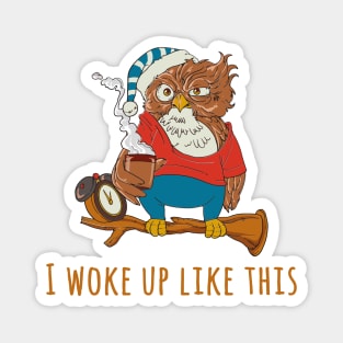 I Woke Up Like This Magnet