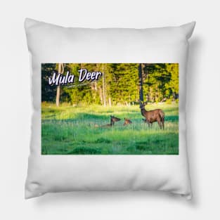 Mule Deer at Yellowstone Pillow