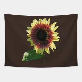 Sunflowers - Sunflower Ring of Fire Tapestry