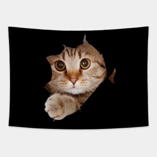 cat lover gifts for cat people Tapestry