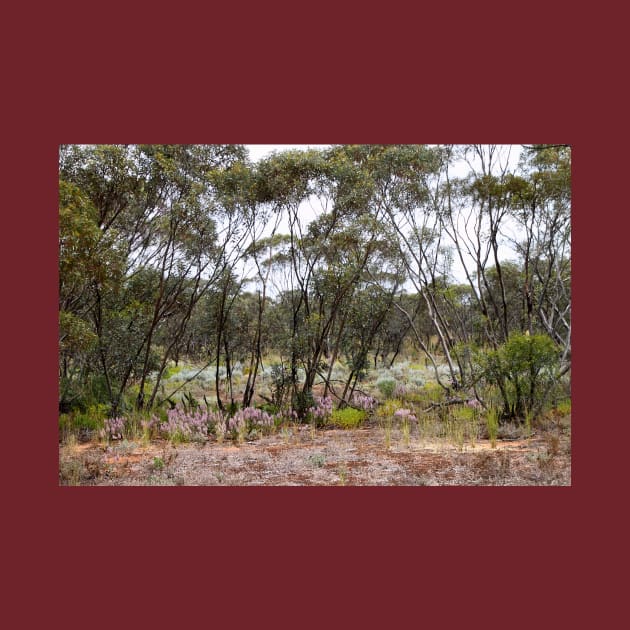 Mallee Scrub at Mungo with Mulla Mulla by Carole-Anne