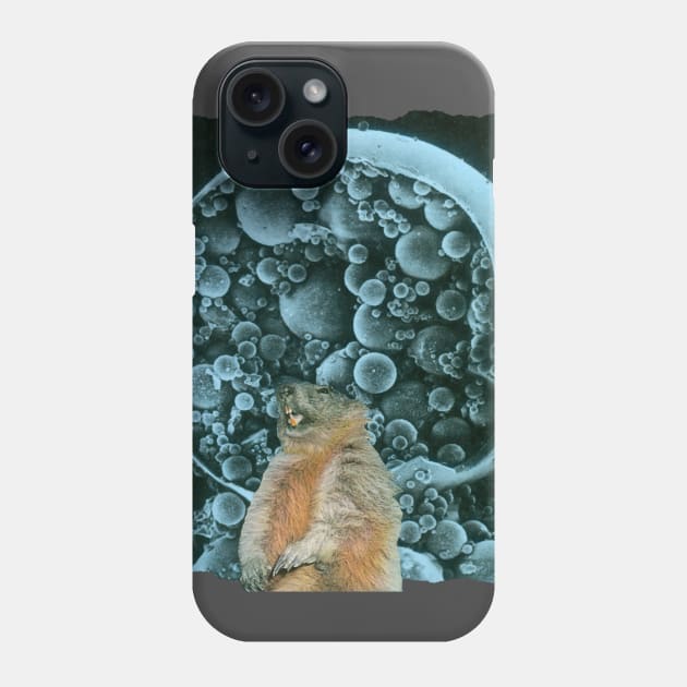 Eureka Phone Case by PeterCampbell