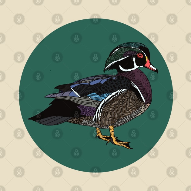 Wood Duck by Forest Press Co