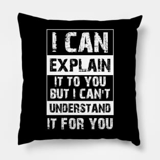 I Can Explain It To You But I Can't Understand It For You Funny Quotes And Memes lovers Pillow