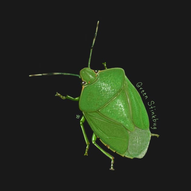 Green Stinky Stinkbug is Stinky by John Himmelman