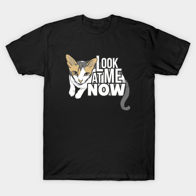 Look At Me Now Funny Cat Design Funny Cat Design T Shirt
