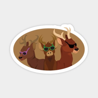 Deer Wearing Sunglasses Magnet