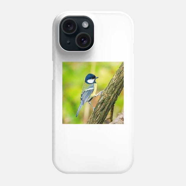 Great tit in the UK Phone Case by Itsgrimupnorth