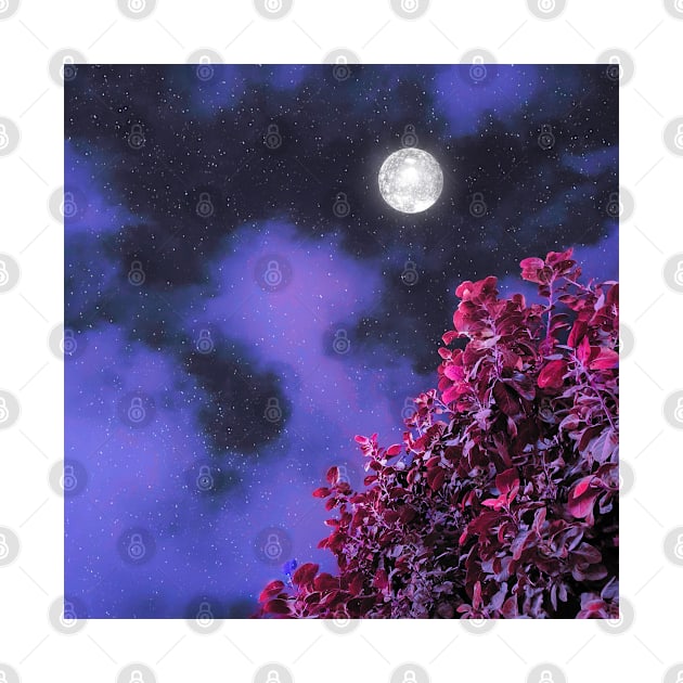 A Beautiful Full Moon Night by Elysian Vision