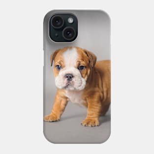 Bulldog puppy Phone Case