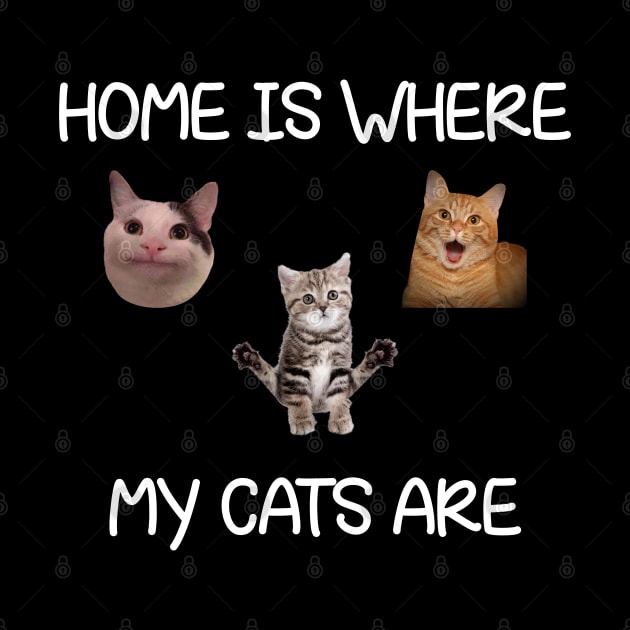 Home Is Where My Cats Are Cat Meme by Matthew Ronald Lajoie