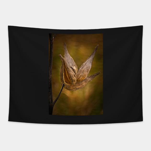 Horicon Marsh - Seed Pod in Golden Tones Tapestry by machare