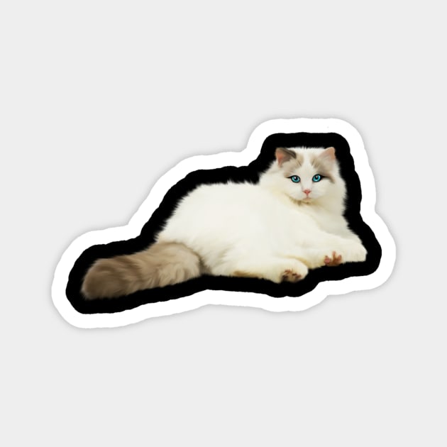 Ragdoll Cat, Love Ragdoll Cats, Cat Lover Magnet by logiamerch