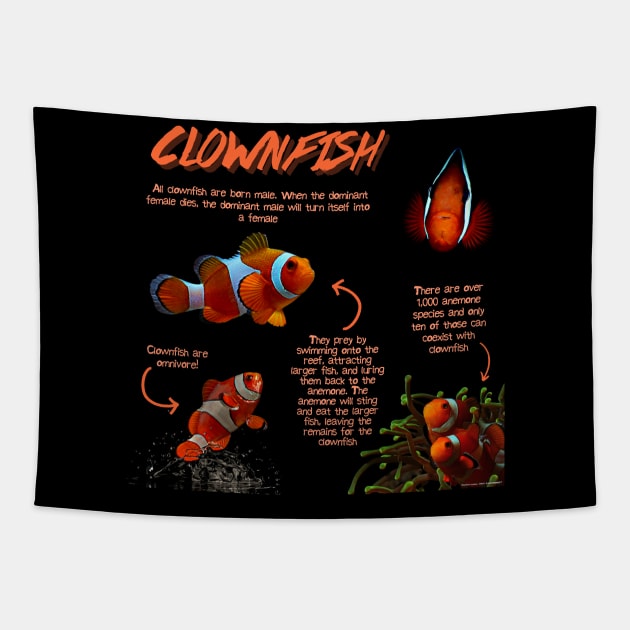 Clownfish Fun Facts Tapestry by Animal Facts and Trivias