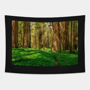 Redwood Forest Tapestry