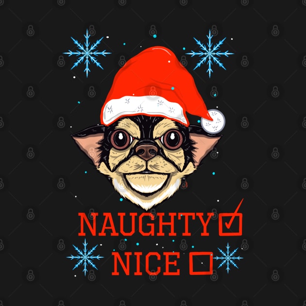 Naughty chihuahua by Chillateez 