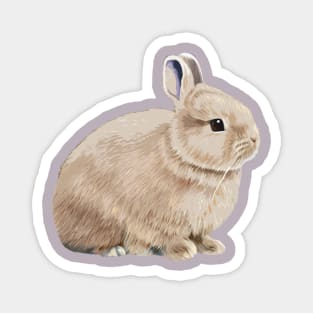 Cottagecore Beige White Otter Netherland Dwarf Rabbit Magnet