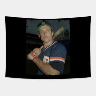 Lance Parrish in Detroit Tigers Tapestry