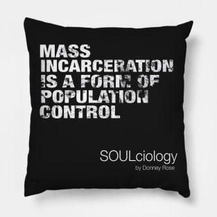 Population Control Pillow