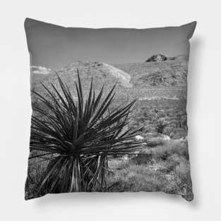 Desert Landscape Pillow