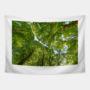 Green trees roof background Tapestry