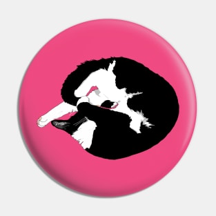 Cute Tuxedo cat sleeping Kitty Pie. Donut eat me  Copyright TeAnne Pin