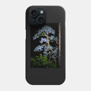 Bonsai Juniperus Meyeri At Night Phone Case