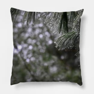 Pine Branch Border Pillow